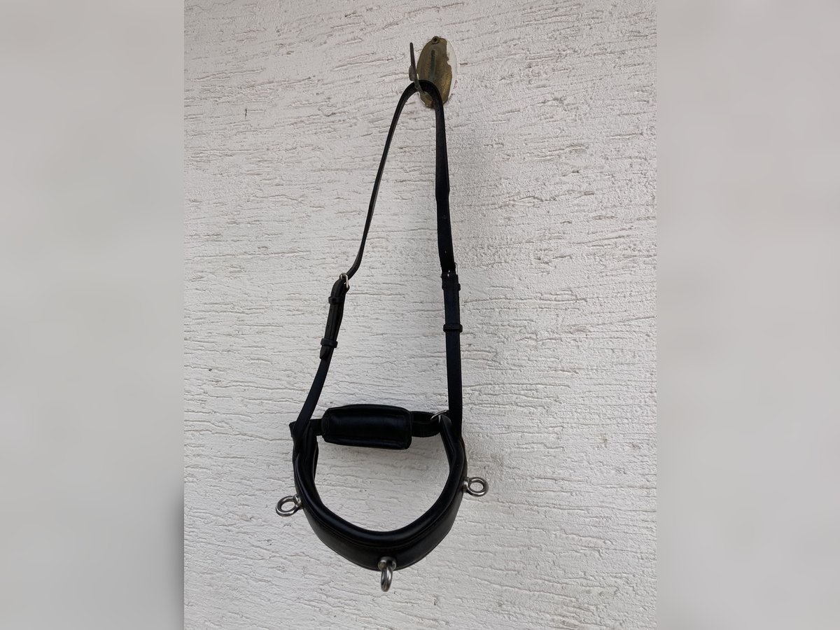 Hennig Kappzaum NP ca 500€