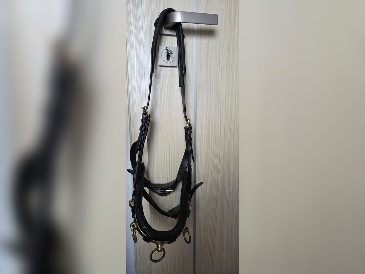 Kappzaum für Kaltblut (Marke Loesdau) Kappzaum für Kaltblut (Marke Loesdau)