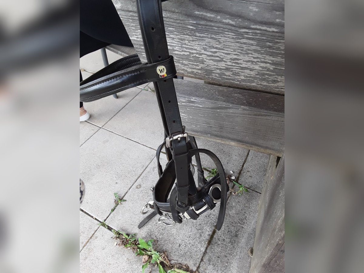 Kappzaum Größe cop