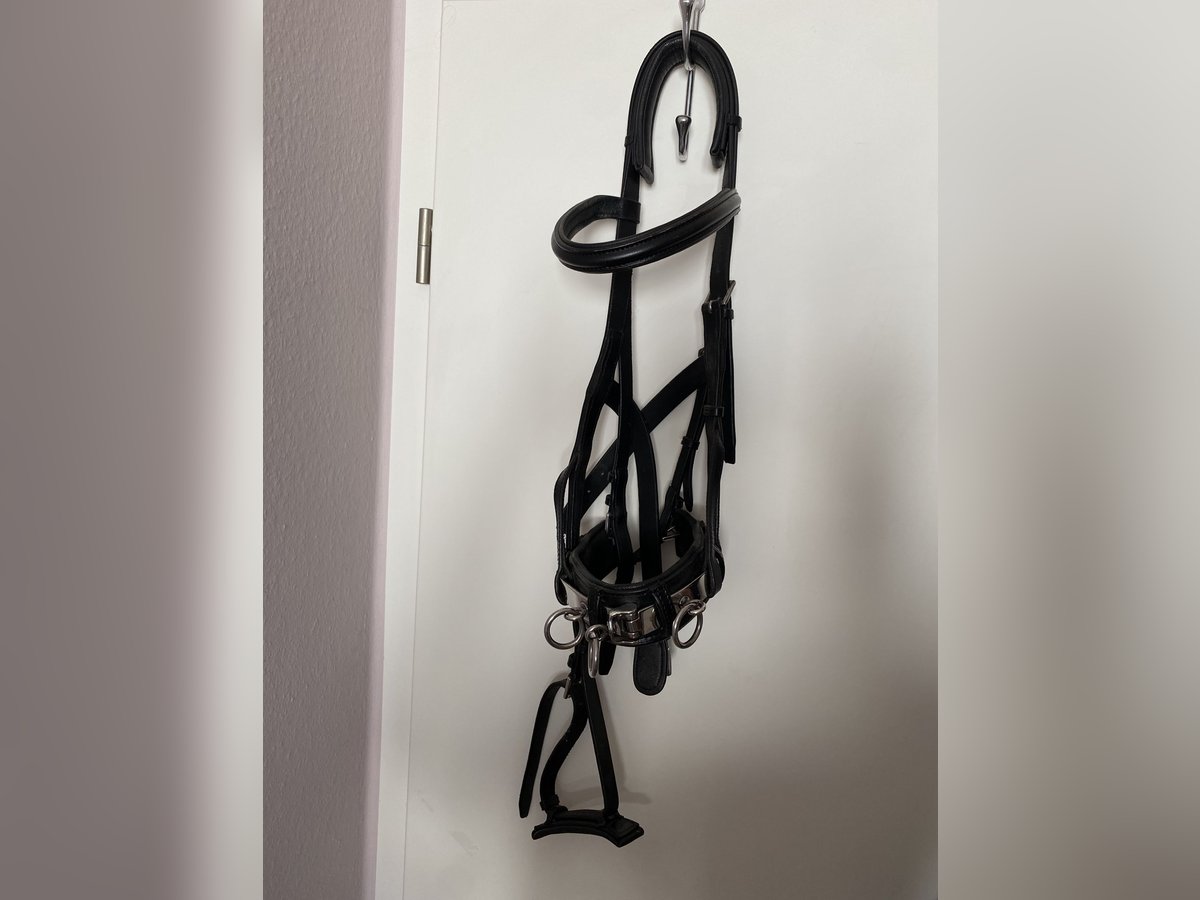 Kappzaum Größe Warmblut