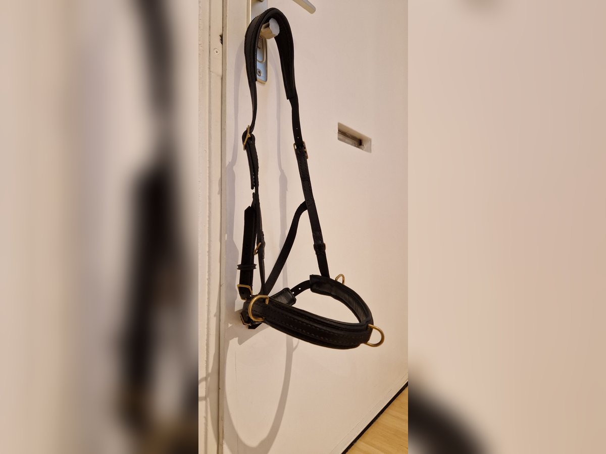 Kappzaum ohne Eisen WB Leder Schwarz Sidepull gebisslose Trense