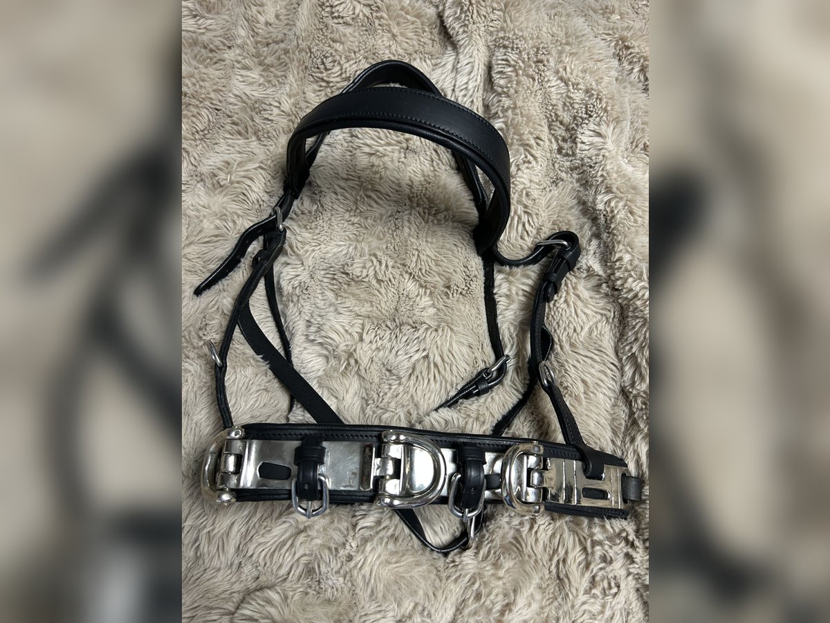 Kappzaum X FULL | inkl. Stirnriemen | mit Naseneisen