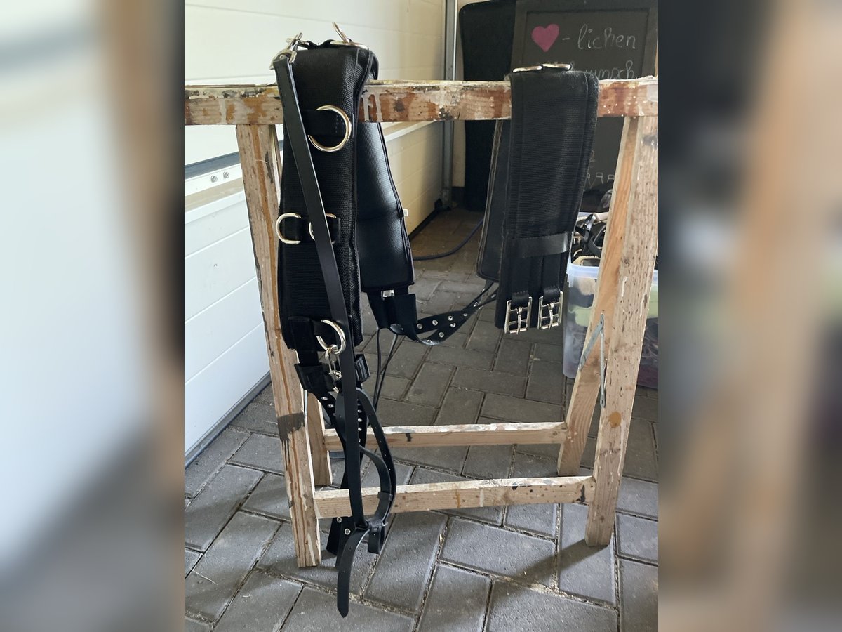 Busse Longiergurt mit Ausbindern Größe M
