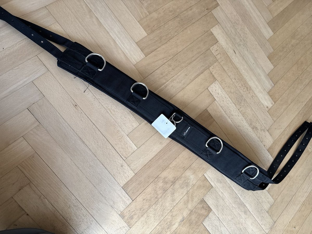 Longiergurt neuwertig 