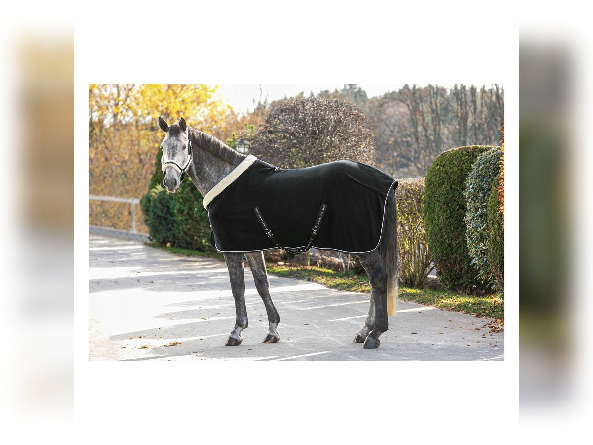 Abschwitzdecke Cheval de Luxe "Nantes