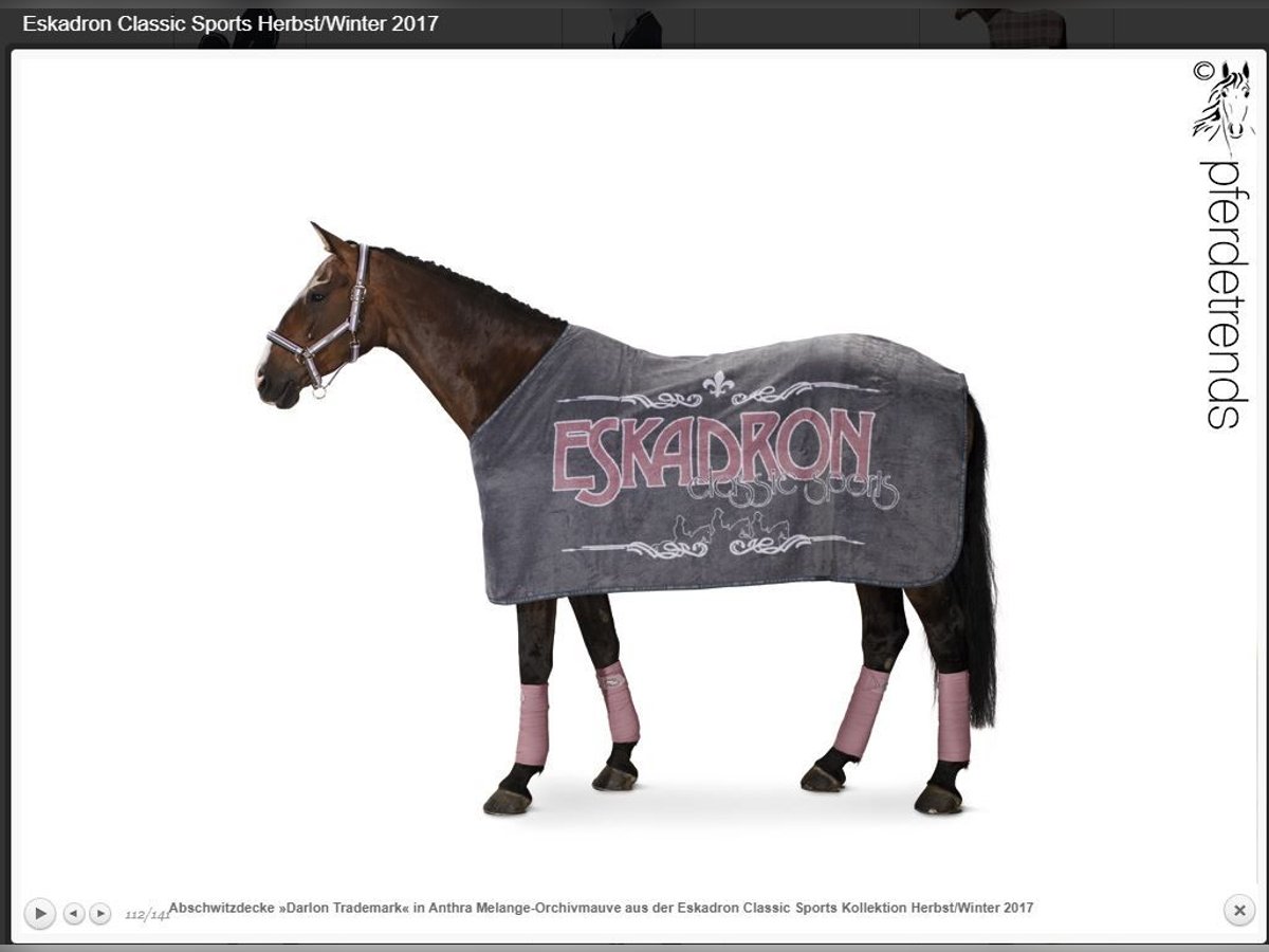 Eskadron Abschwitzdecke Classic Sports Grau/Mauve 145 Eskadron Abschwitzdecke Classic Sports Grau/Mauve 145