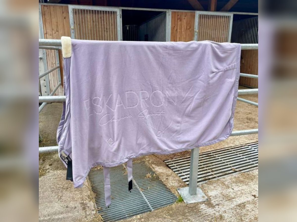 Eskadron Abschwitzdecke *NEU*