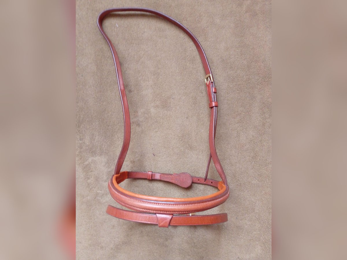 Reithalfter Steppenpferd London Cob, Full, X-Full neu!