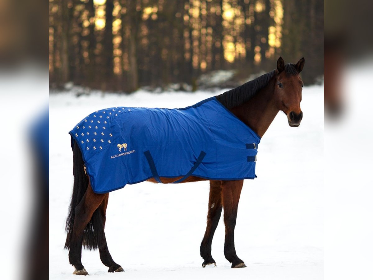ACCUHORSEMAT DECKE ORIGINAL 