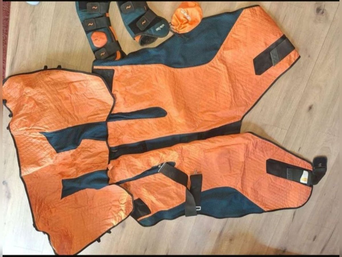 Bemer horse set Decke