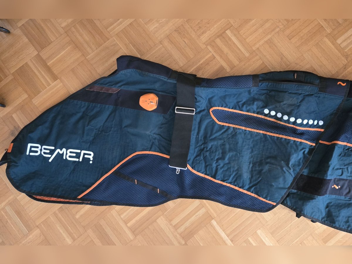 Bemer Horse Set