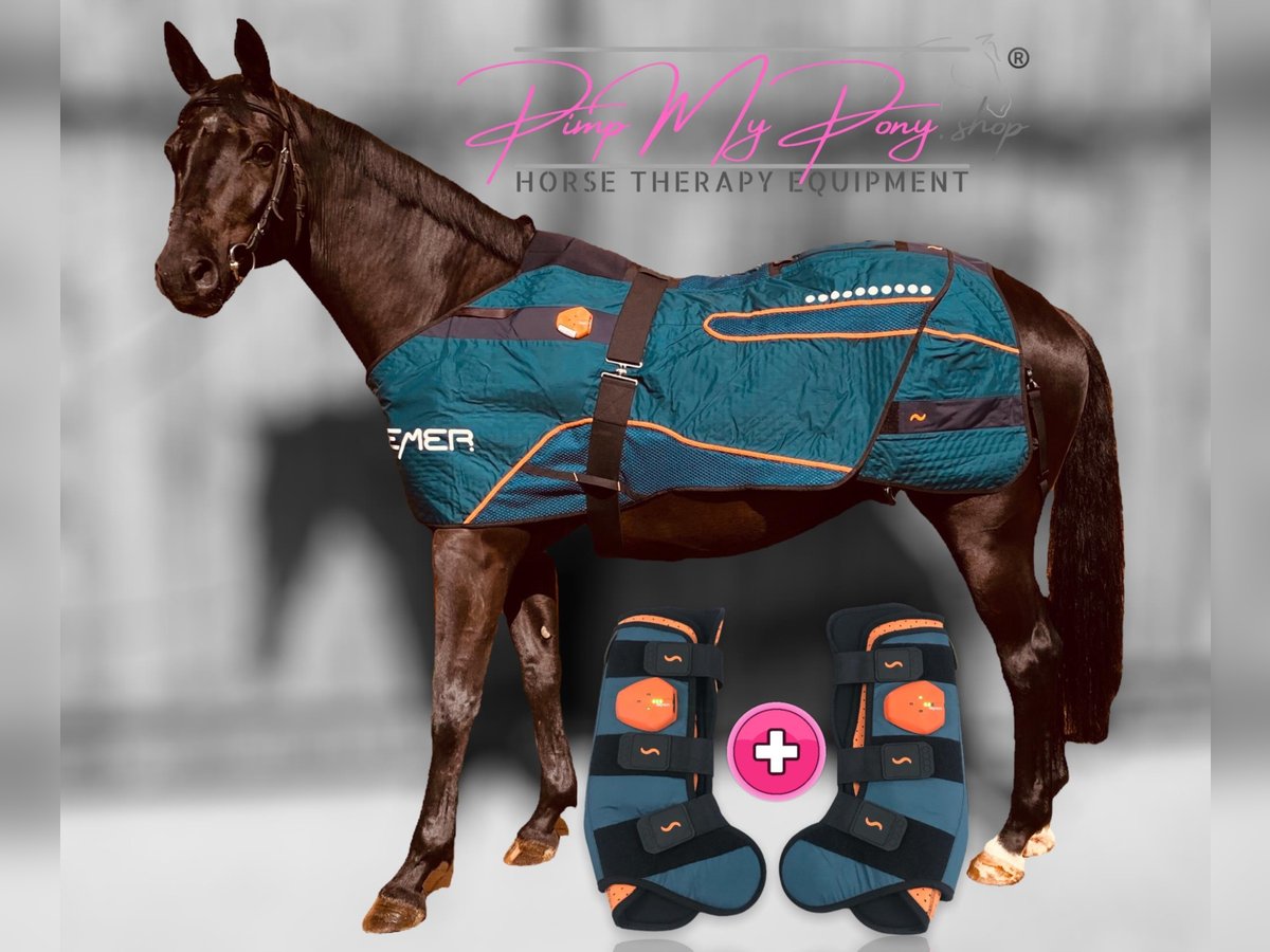 BEMER VET Magnetfeld Therapie Pferd Horse Komplett SET Decke +2 Gamaschen Verleih Vermietung Versand