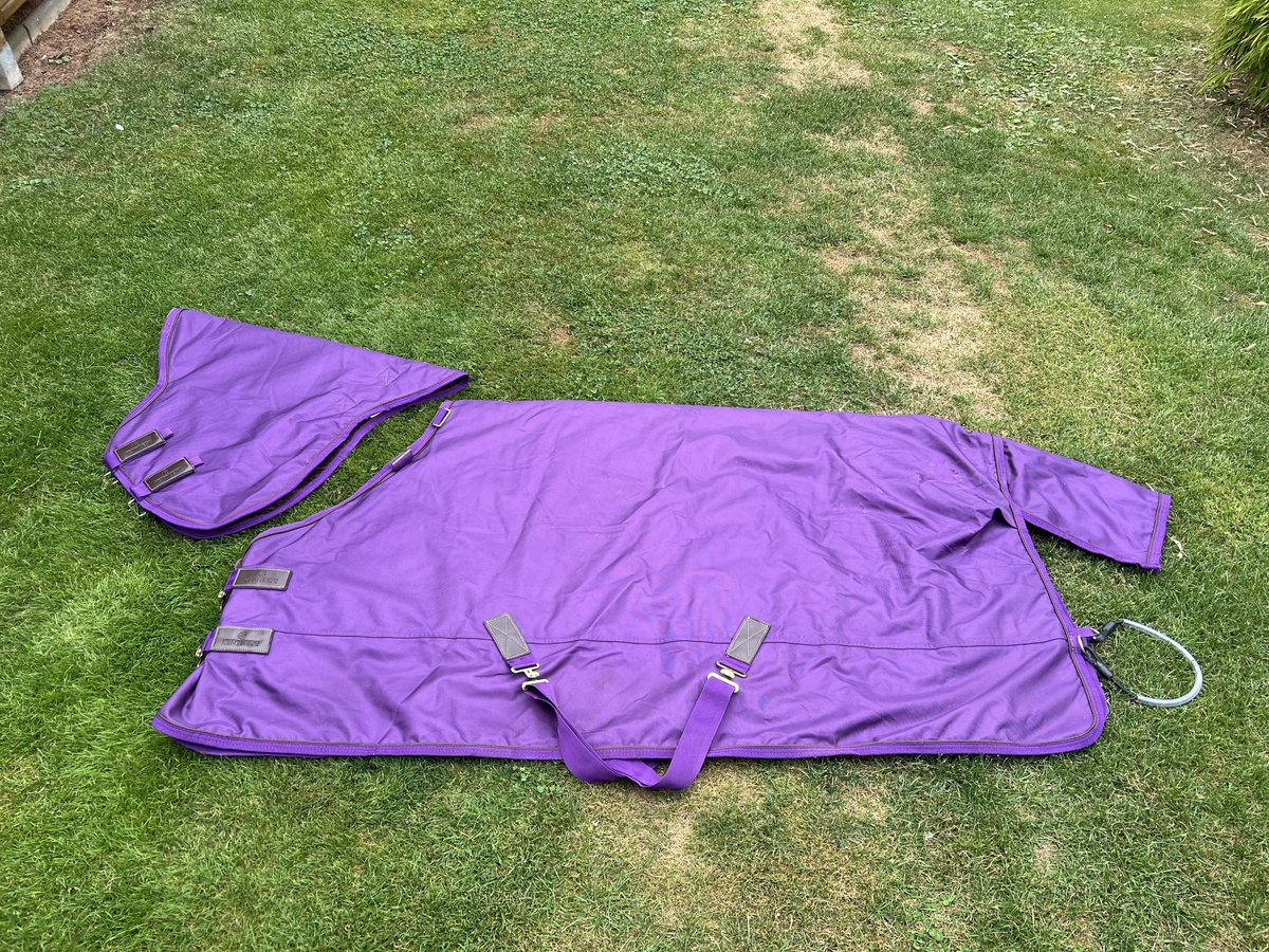 Kentucky Outdoordecke mit Halsteil - All Weather PRO purple 125cm