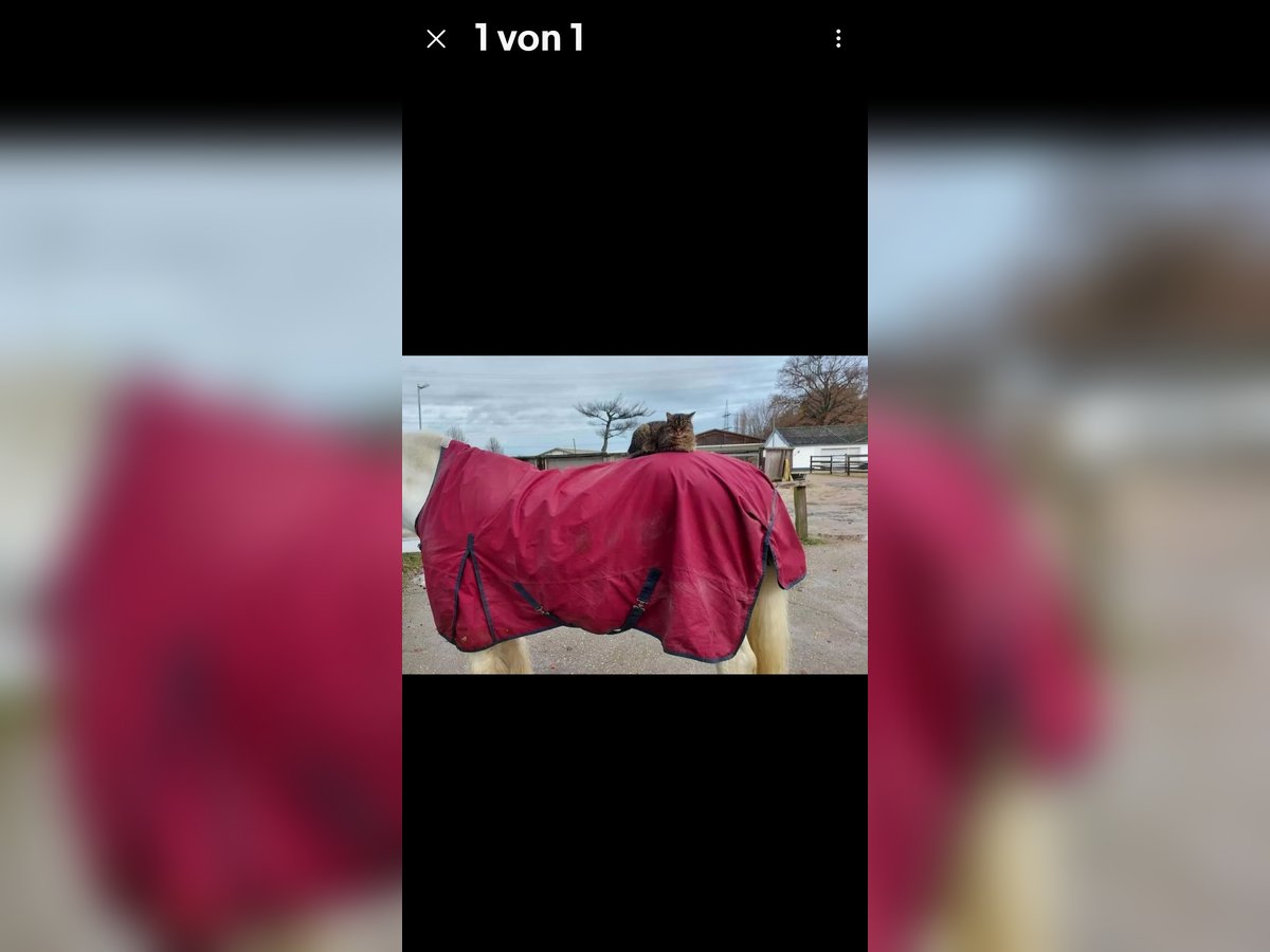 Outdoordecke mit Fleecefutter in 165cm 