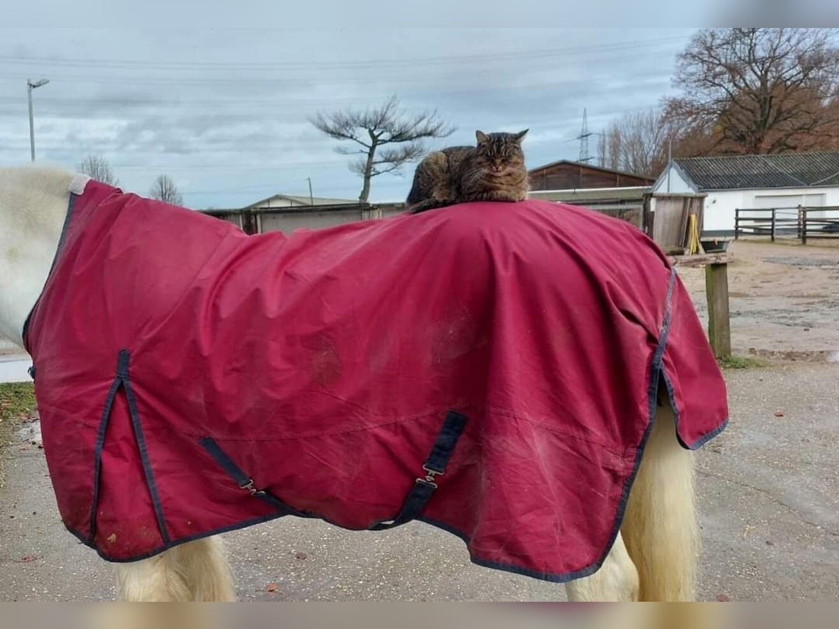 Outdoordecke  mit Fleecefutter  Outdoordecke  mit Fleecefutter