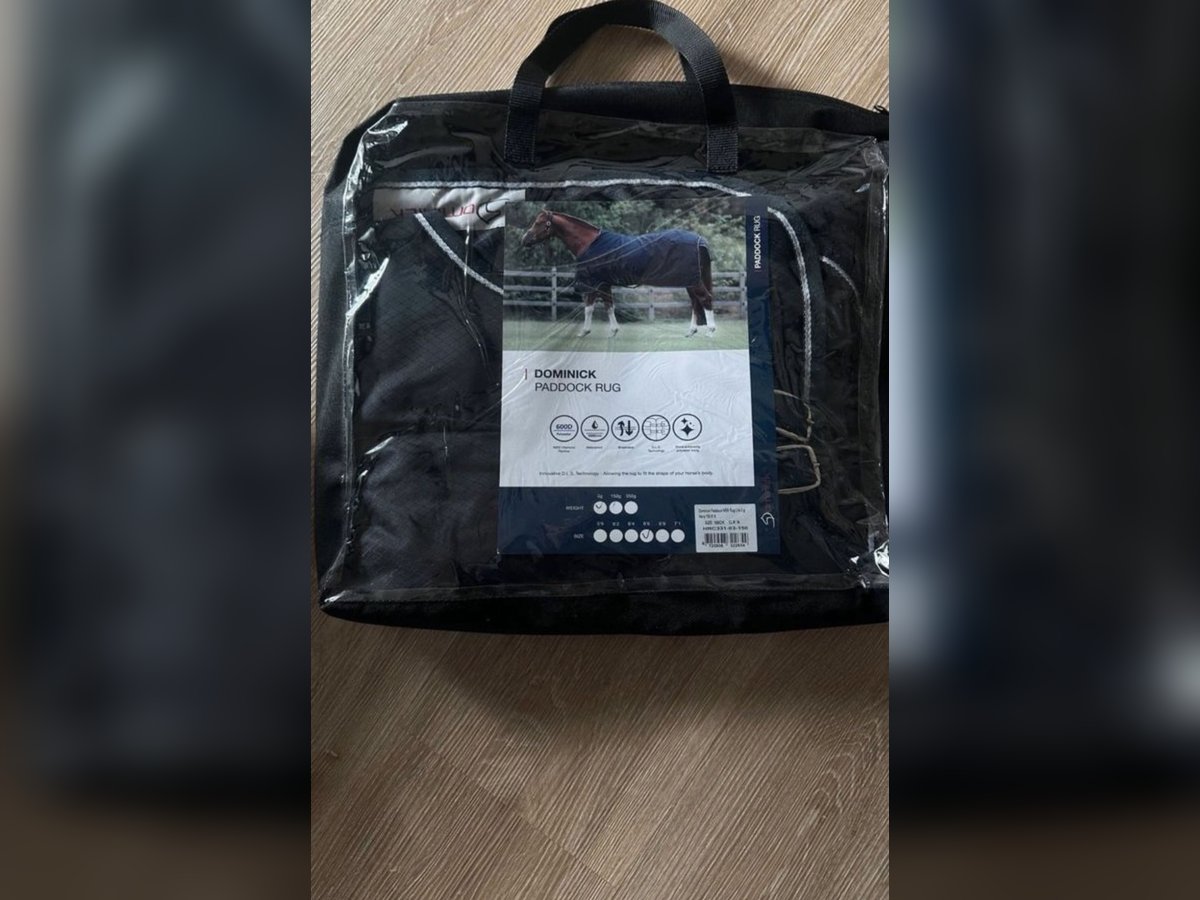 DOMINICK REGENDECKE PADDOCK NEW RUG LITE