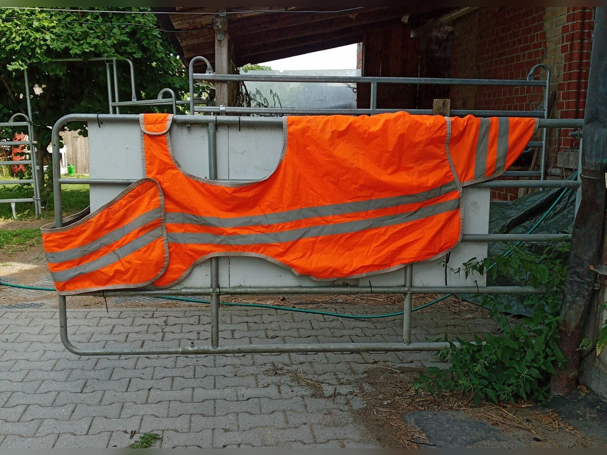 Horze bZeen reflektierende Ausreitdecke 145cm
