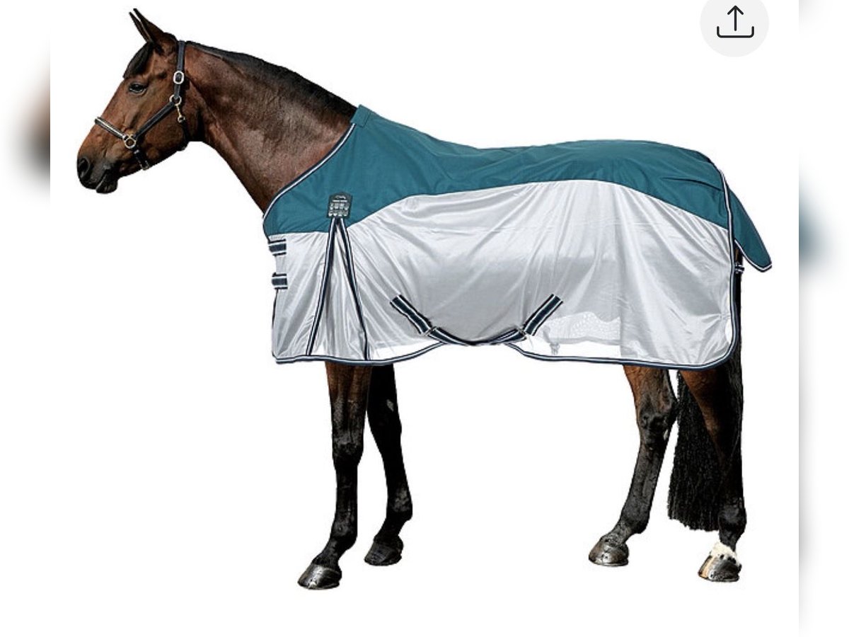 THERMO MASTER-Kombi-Decke