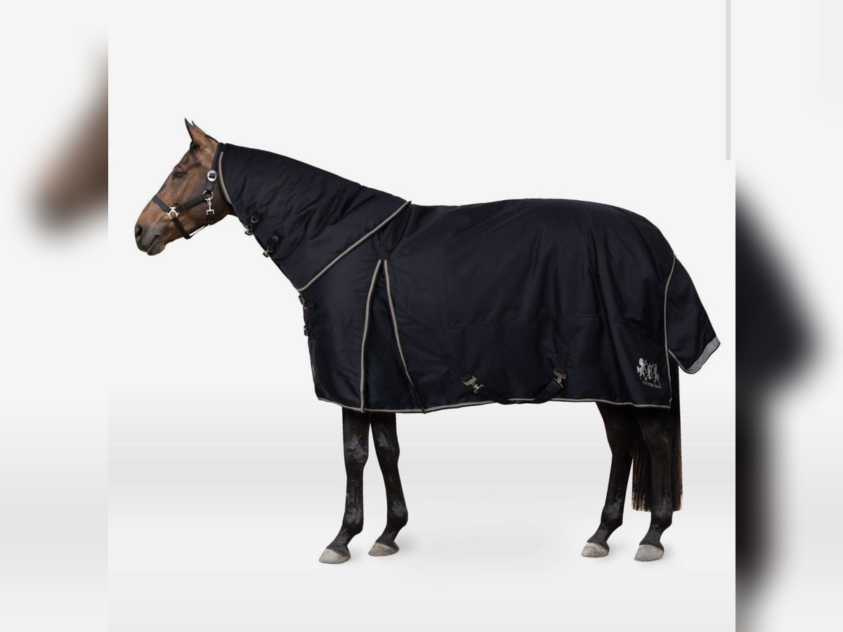 B Vertigo Georgina Winterdecke mit Halsteil 400g