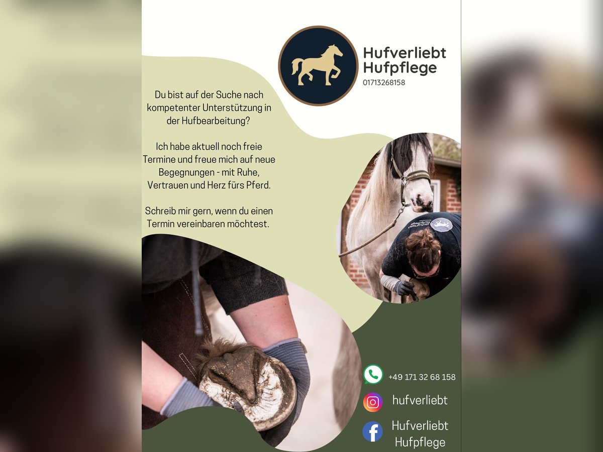 Hufpflege / Barhufbearbeitung 