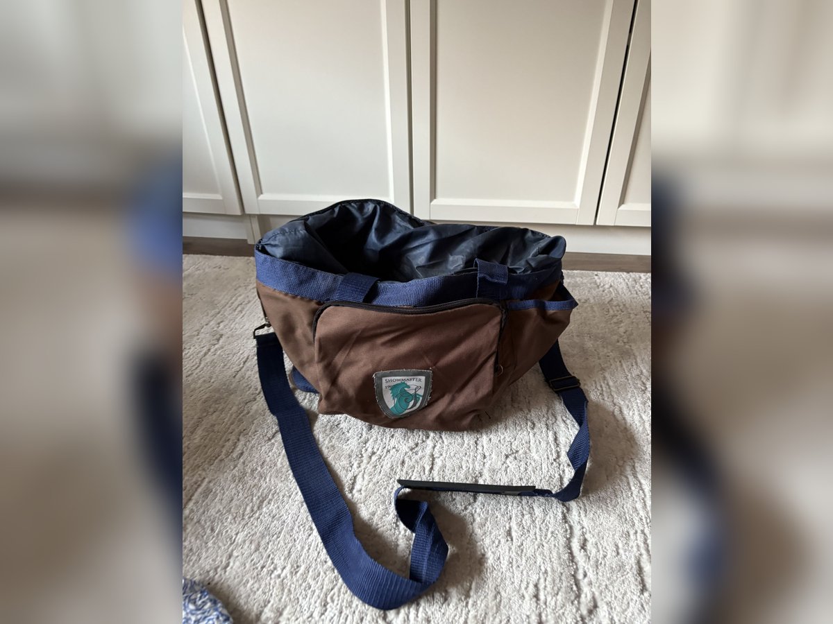 Putztasche