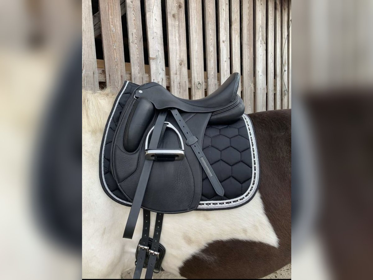 Acavallo Perugino Dressursattel 18“