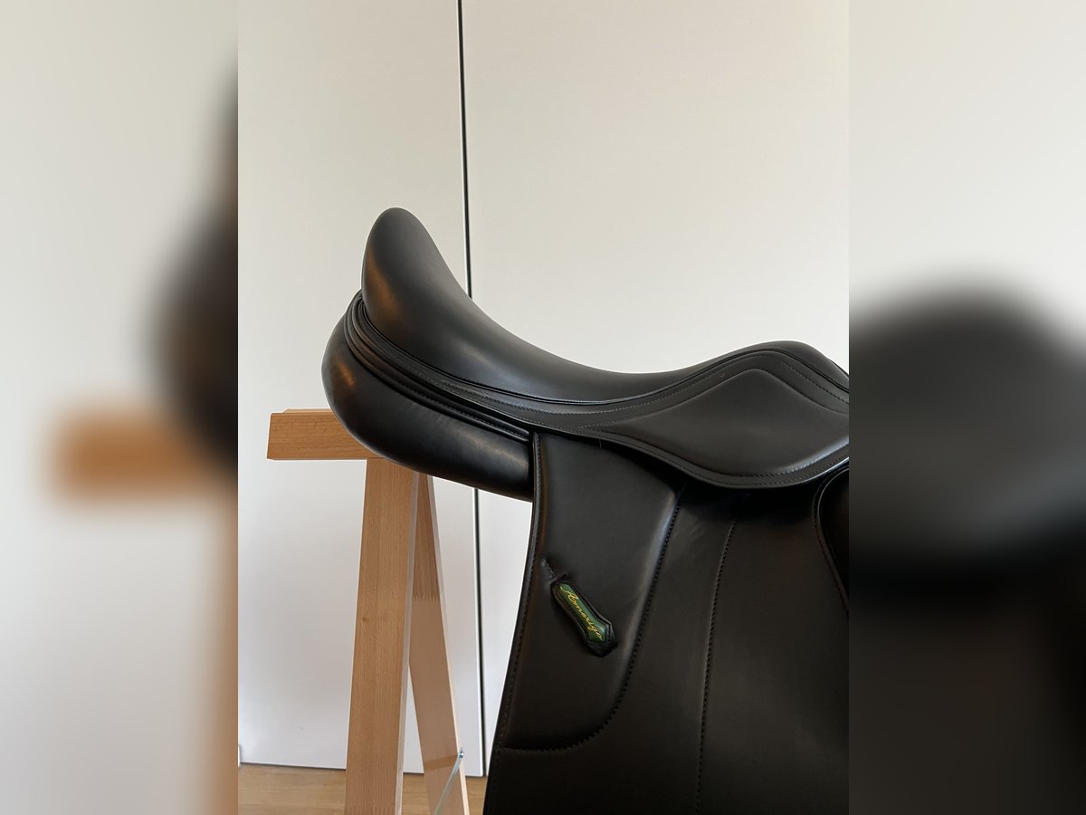 Amerigo Vega Dressursattel neu