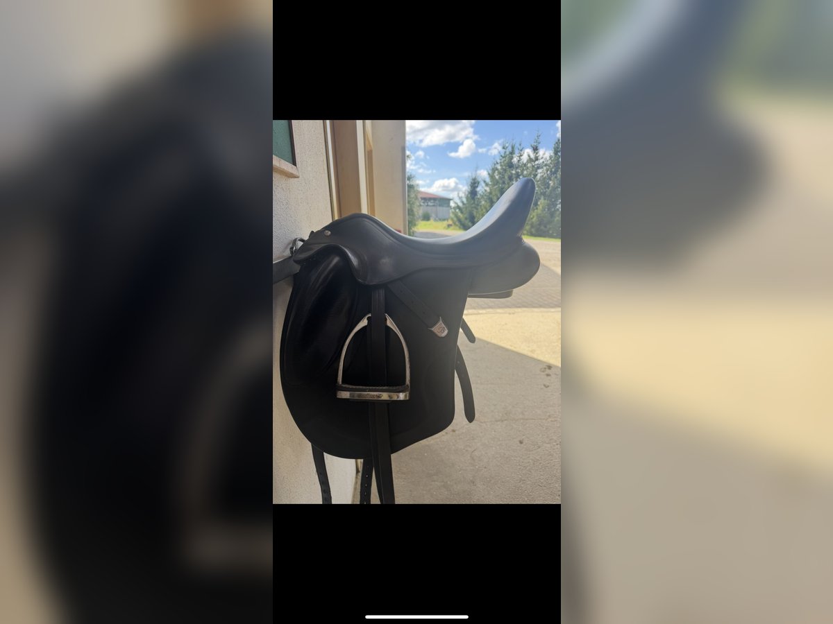 Bates Artiste Dressursattel 
