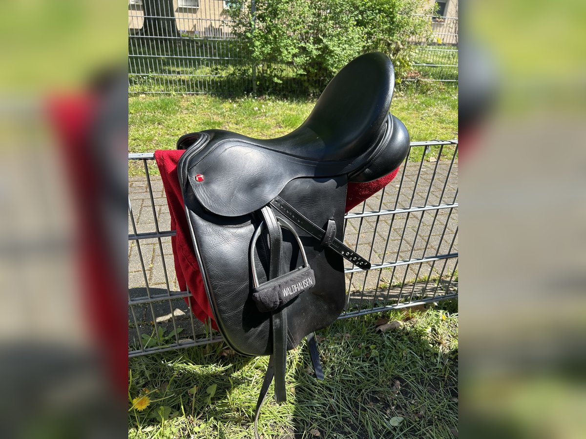 Biete Dressursattel von Albion 