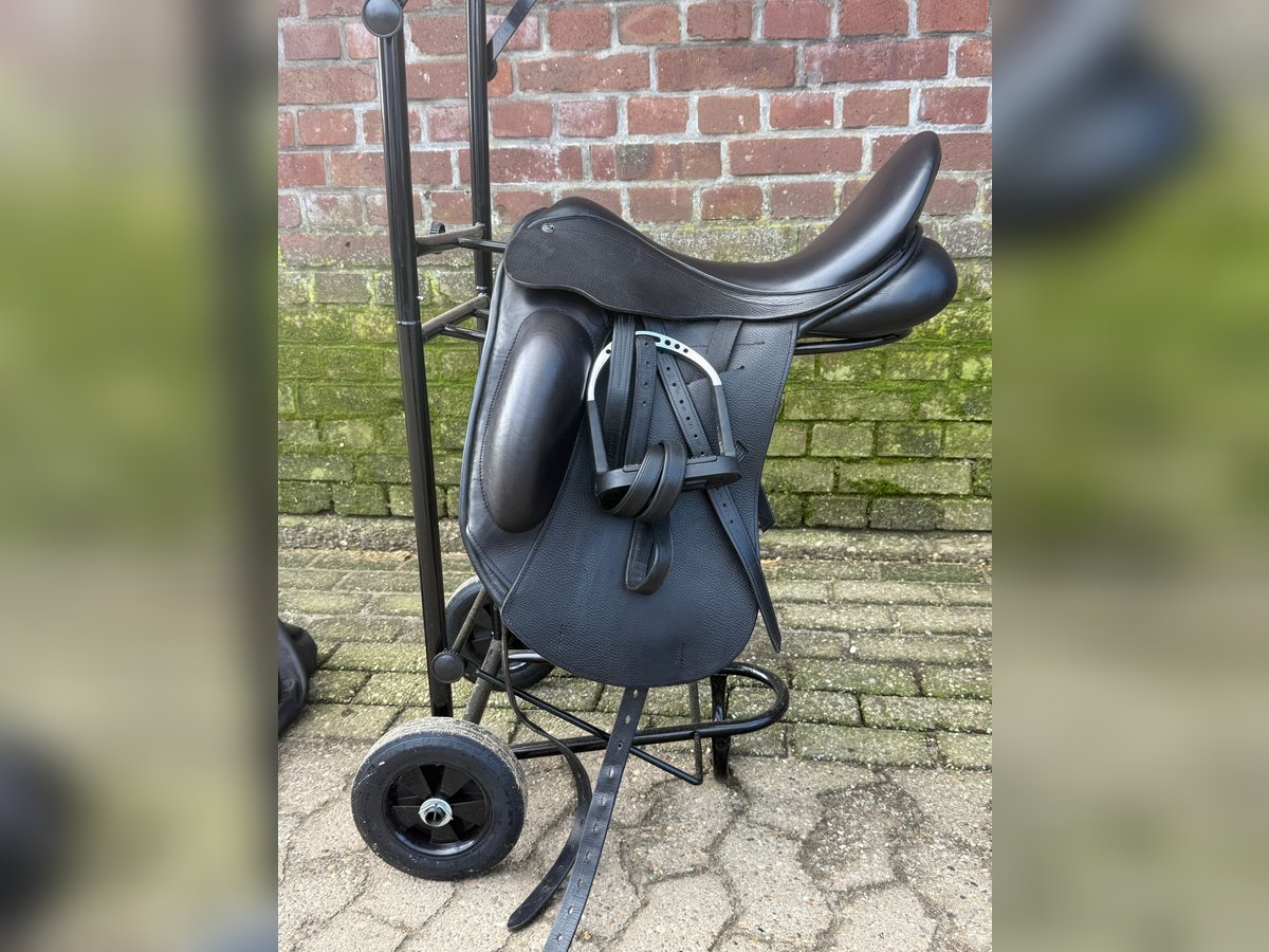 County Epiphany 17,5 Zoll