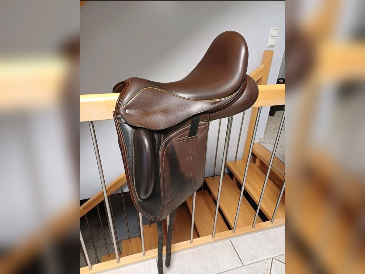 custom Saddlery Dressur Dressage Sattel Wolfgang Omni Monoflap gepflegt sauber hochwertig