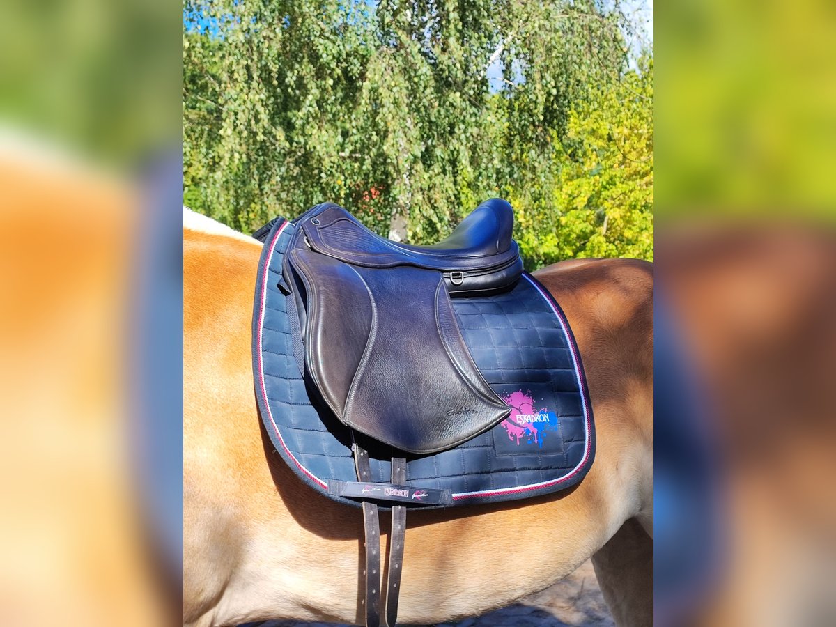 Dressur Sattel physioflex Emotion 18" horsemate 