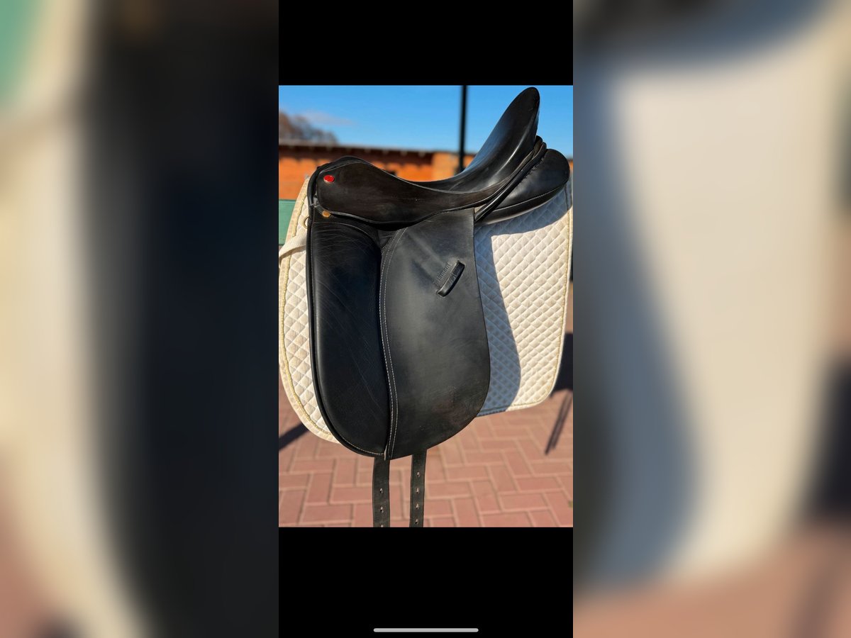Dressursattel Euroriding Diamant