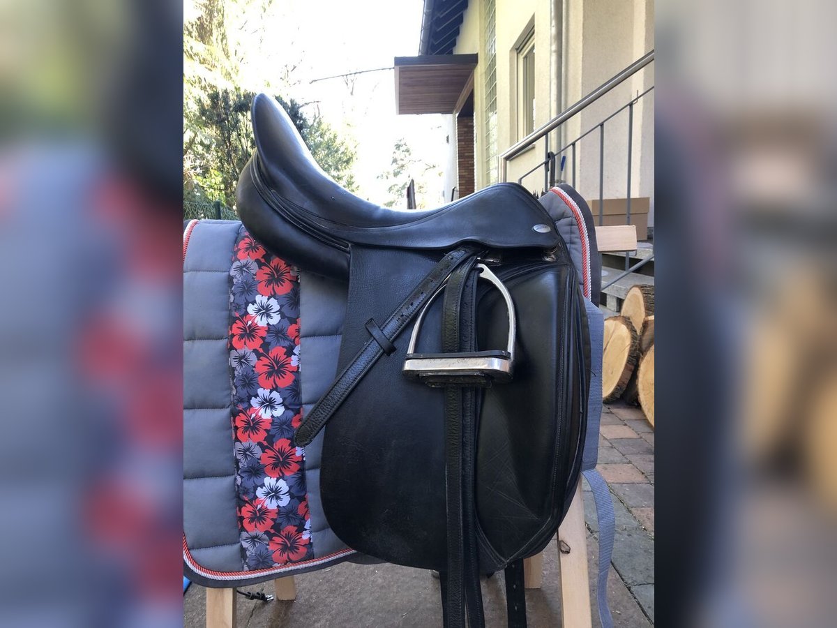 Dressursattel Harry Dabbs 17,5 Zoll