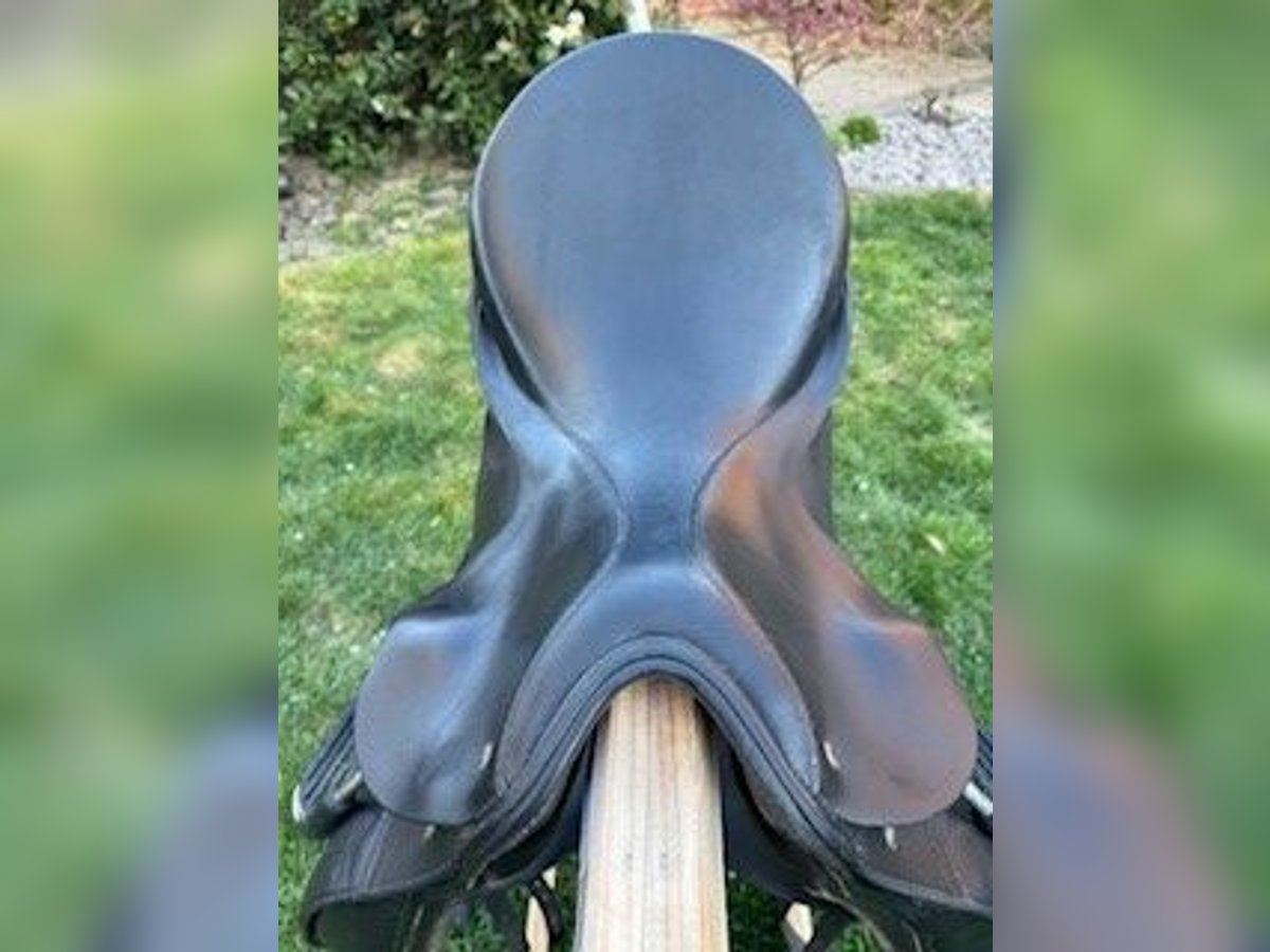 Dressursattel Passier Grand Gilbert