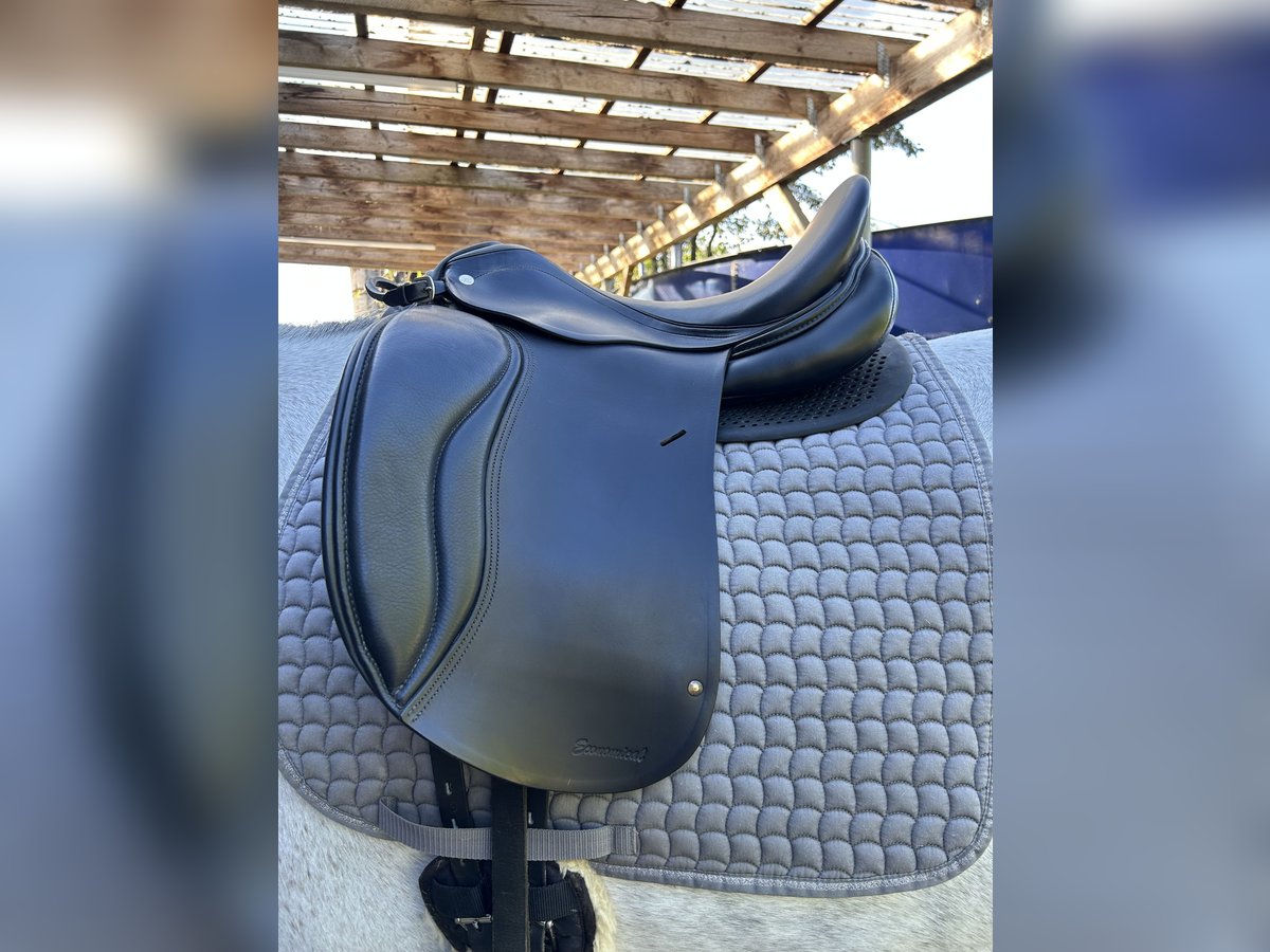 Dressursattel von Horsestar 17 Zoll 