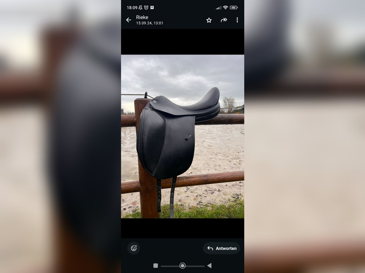Dressursattel von Prestige 