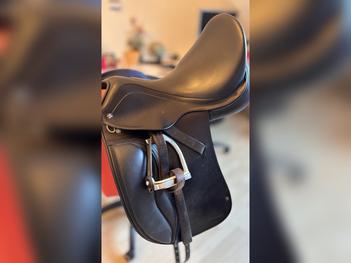 Horse Star Economical Dressur Sattel, GAP-Baum, 17,0“, K+2