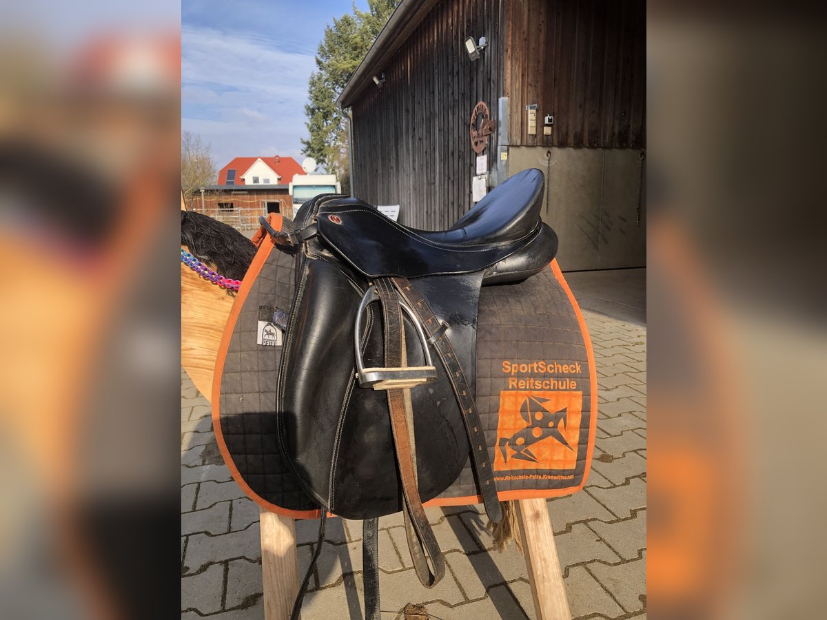 Kiefer Athen Dressursattel, breite Kammer Kiefer Athen Dressursattel, breite Kammer