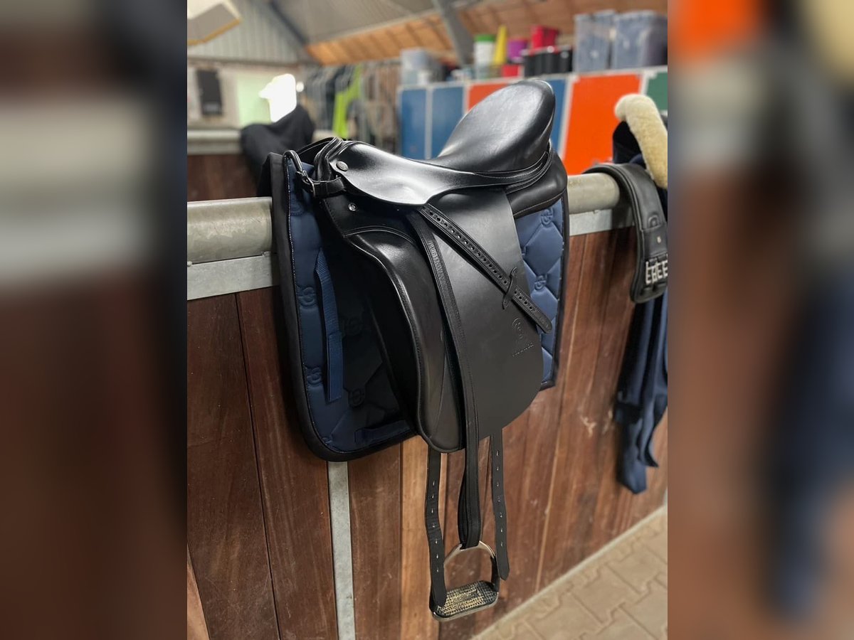 Neuwertiger Dressursattel Otto Schumacher Solution C zu verkaufen!