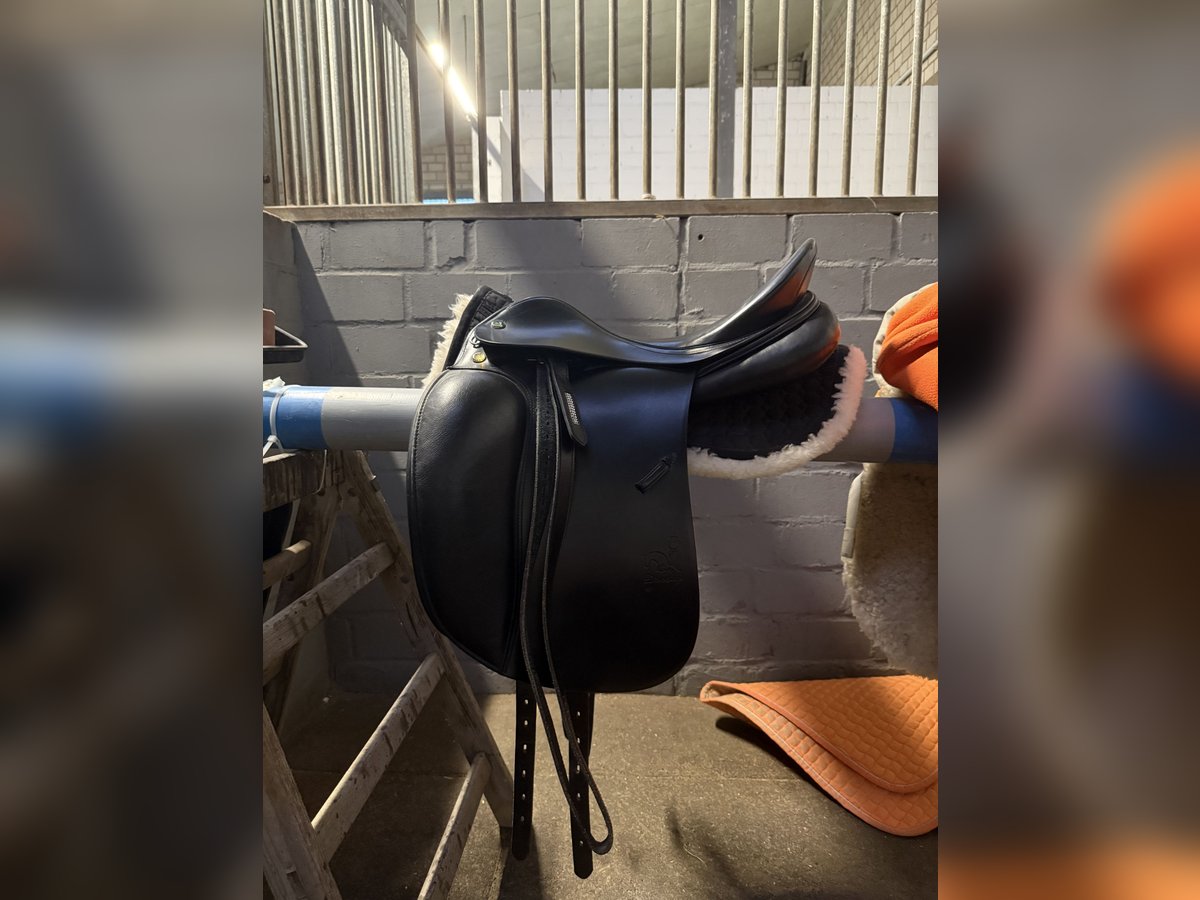 Neuwertiger Prestige top Dressage SP 17“ / 32 KW
