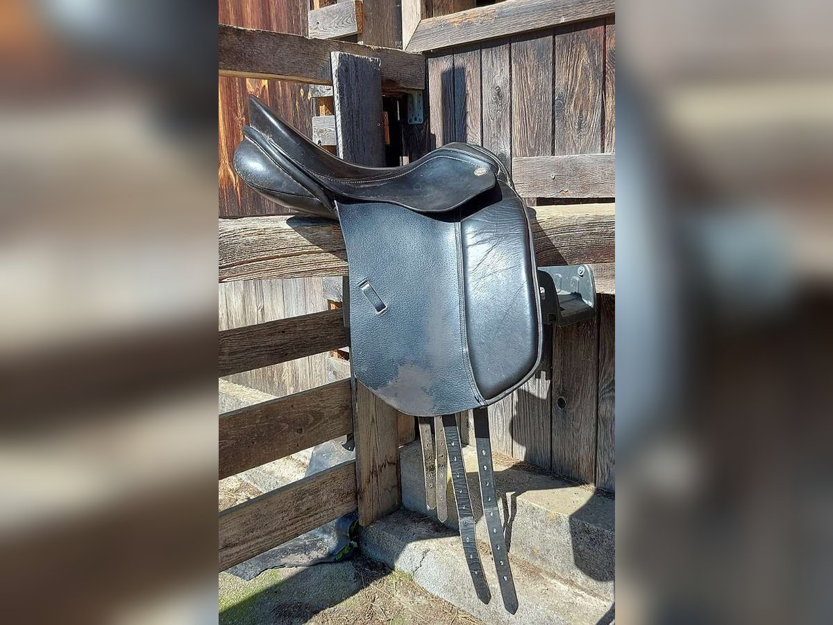 Niedersüß Sinfonie Dressursattel