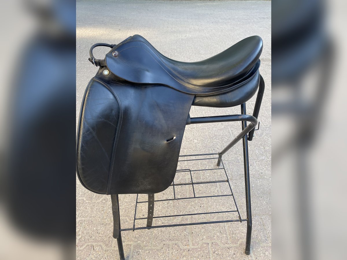 Prestige Hippos Dressage 33/18“