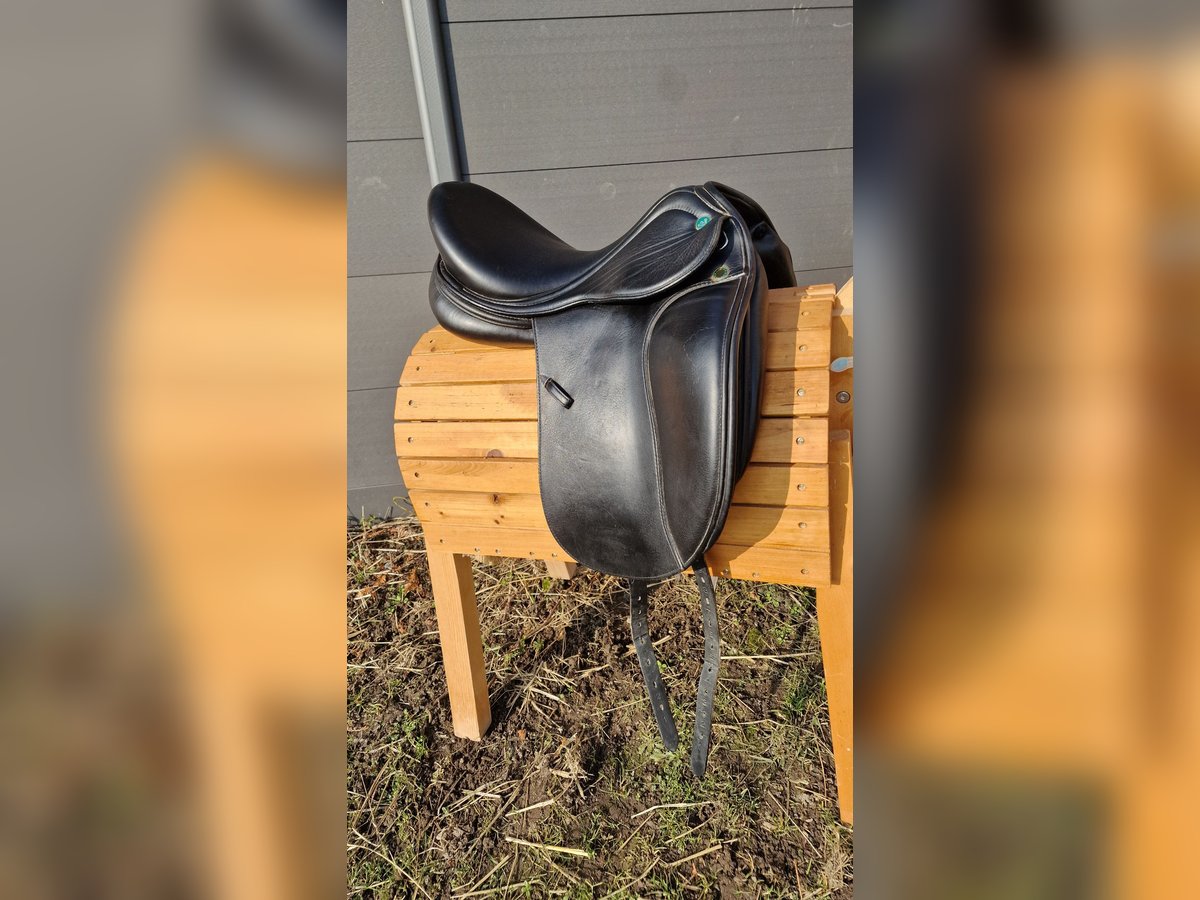 Prestige Lucky Dressage Idol 16/35