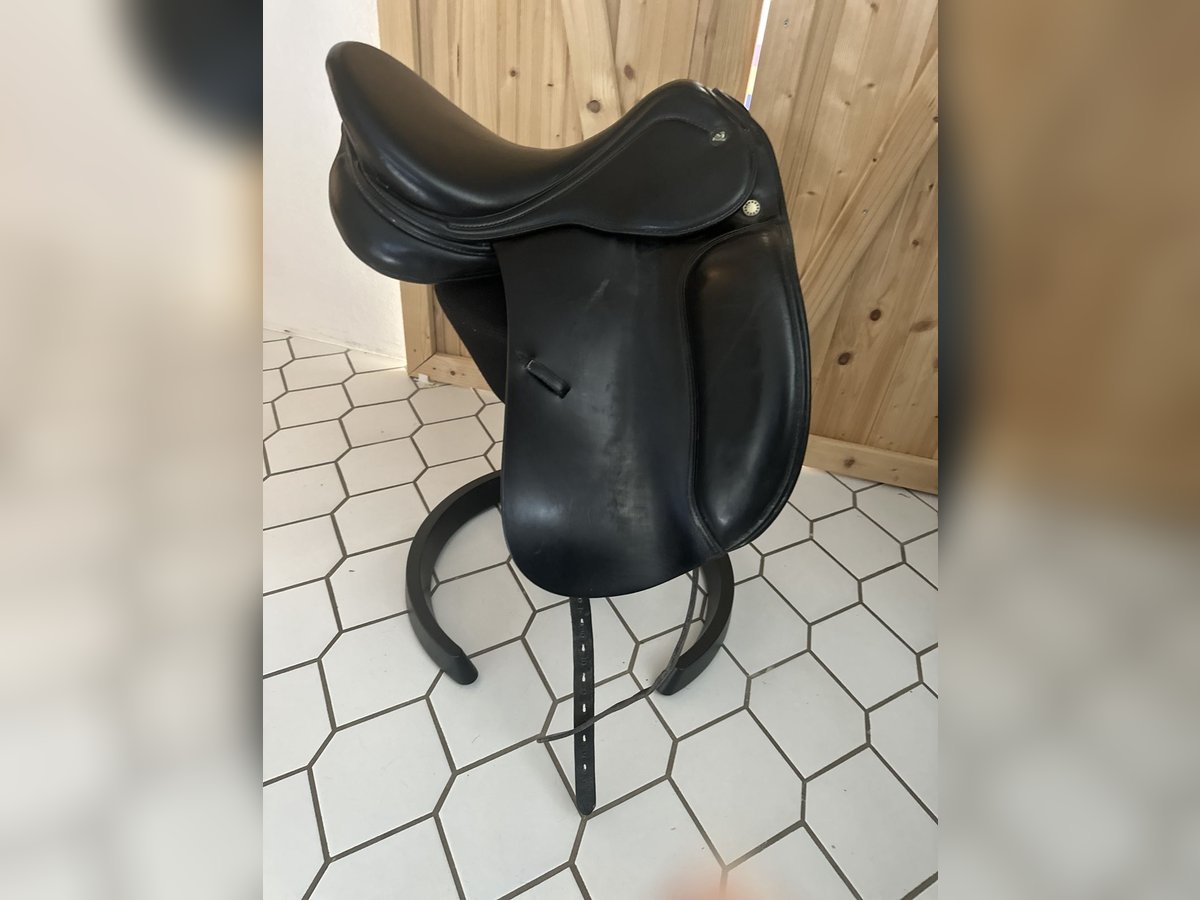 Prestige Lucky Dressage