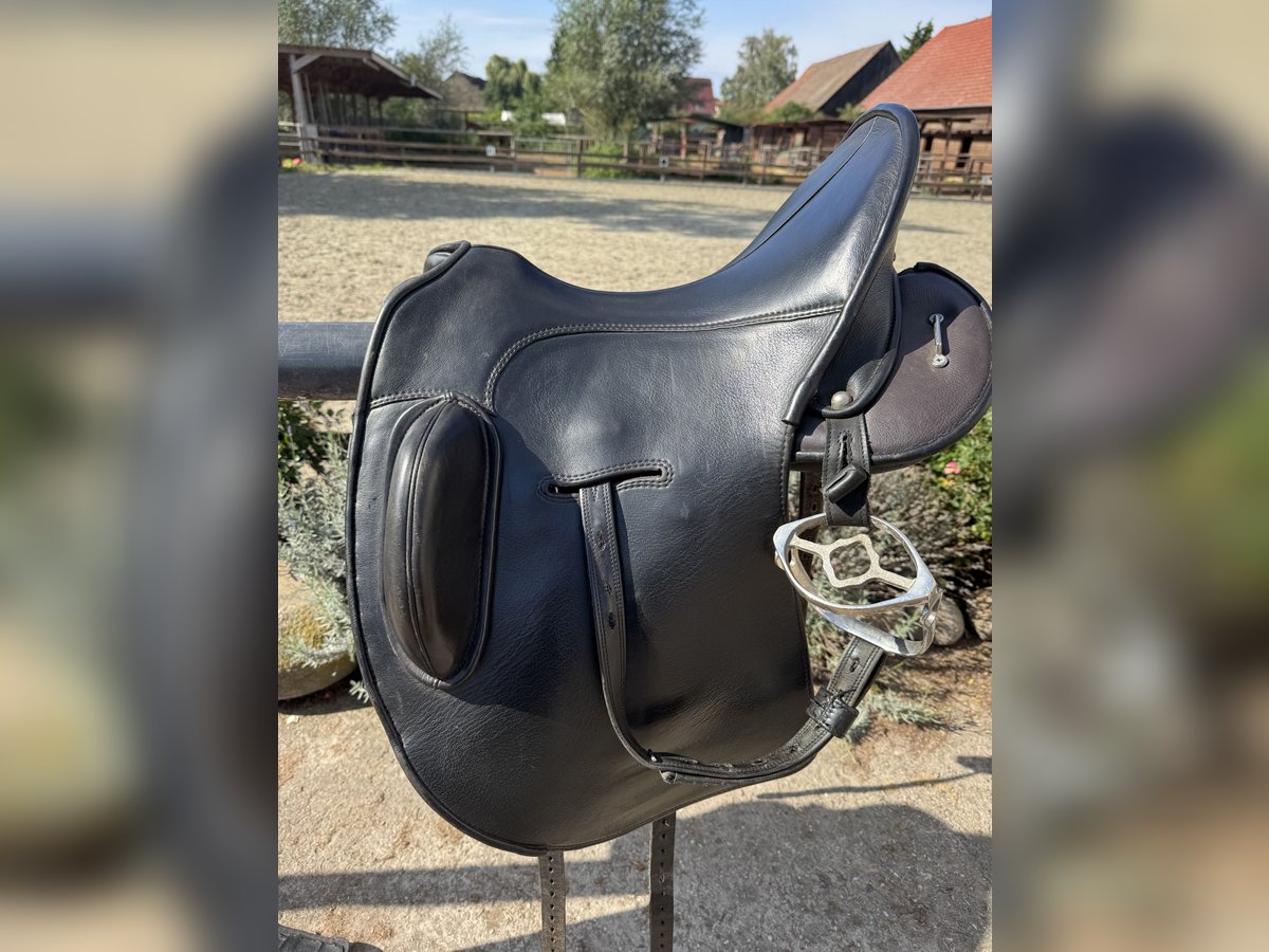 Signum Sattel Omega Rose working Equitation  Signum Sattel Omega Rose working Equitation
