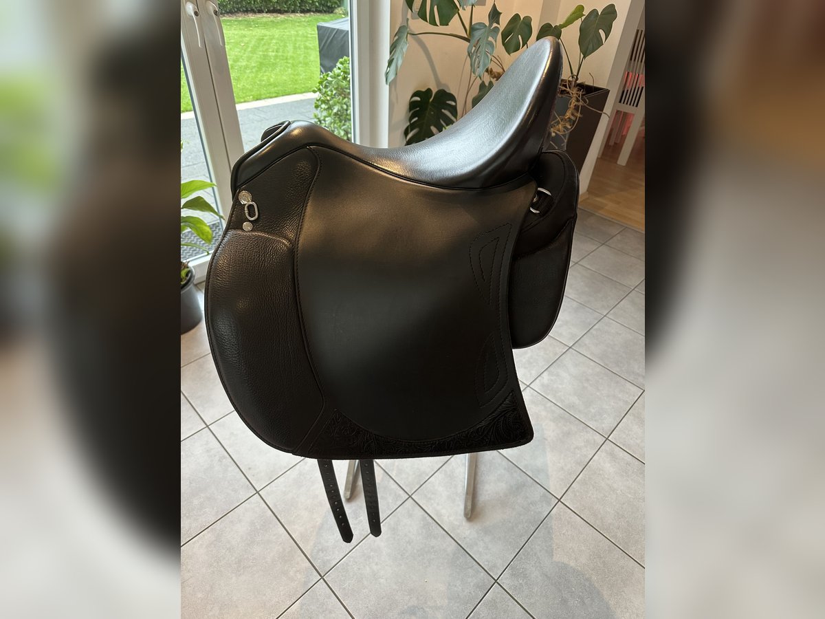 Sommer Salvadore sucht neuen Lieblingsrücken Sommer Salvadore sucht neuen Lieblingsrücken