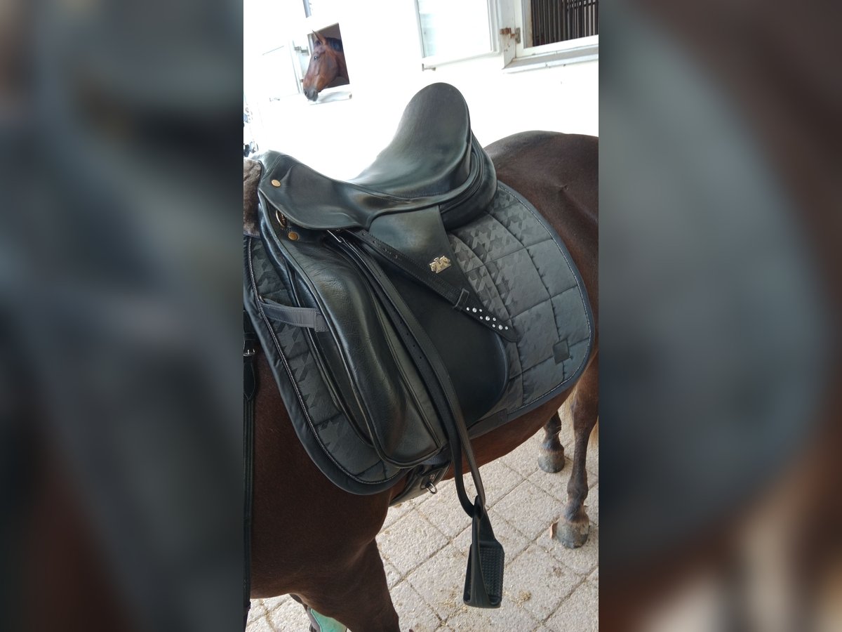 Spirig Dressursattel