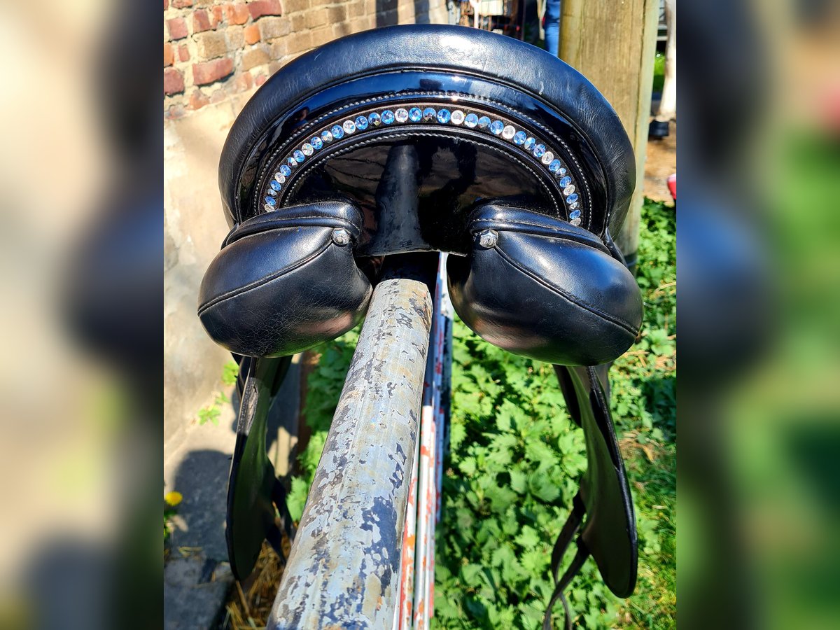 Stübben Centurion mit Monoblatt 