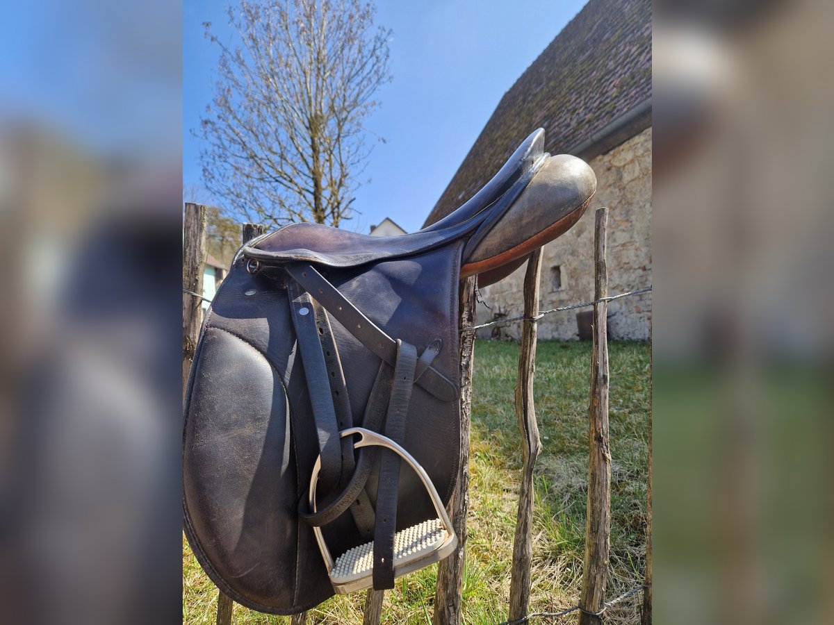 Stübben Dressurrsattel 